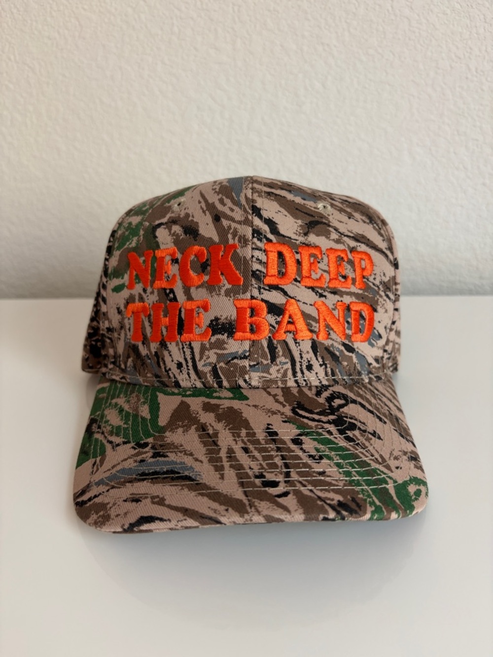 NWOT Neck Deep The Band Camo Hat